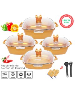 ROMANIA Ollas roca volcánica